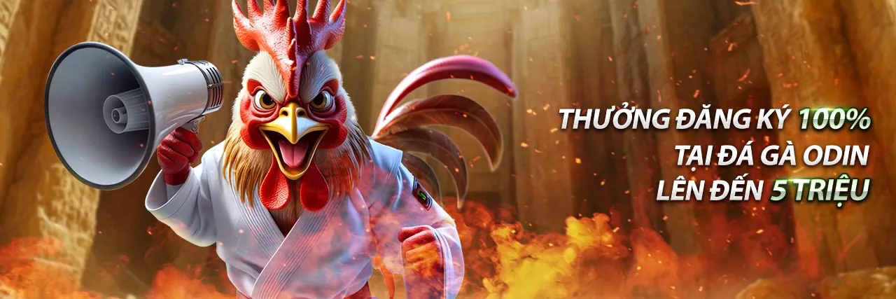 Hình ảnh chính blog 77win1 đăng nhập 2026